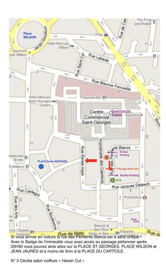 Hyper-Centre Historique Avec Possibilite De Reservation Parking Toulouse Exterior foto